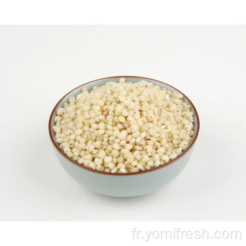 Rice de sorgho doux